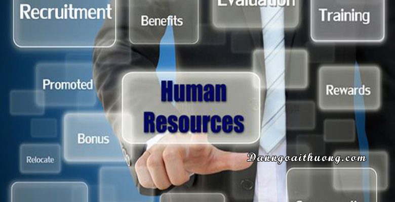 Human resources - HR là gì? Làm những việc gì?