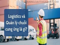 ngành logistics và quản lý chuỗi cũng ứng